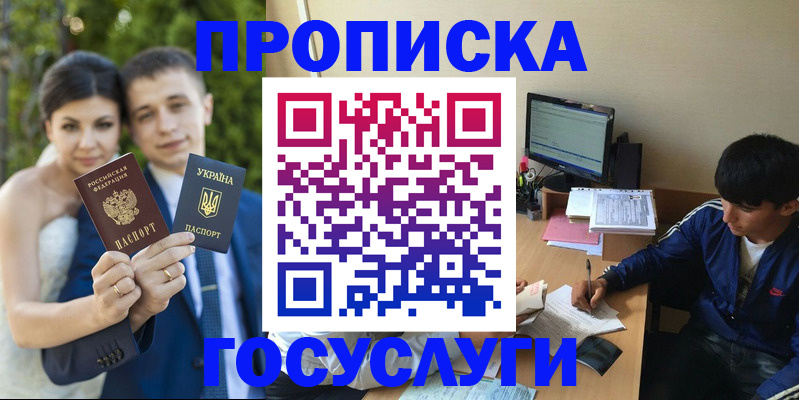 временная регистрация в Камчатской области